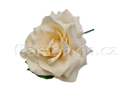 Velká krémová růže ANF 14 cm
