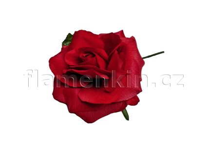Velká červená růže ANF48639