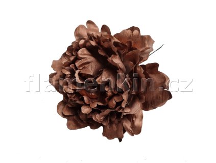 Měděná pivoňka FE 11 cm