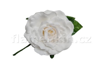 Střední bílá růže ANF 48634 11 cm