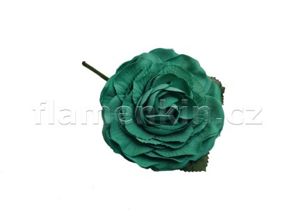 Růže ANF54768 akvamarín