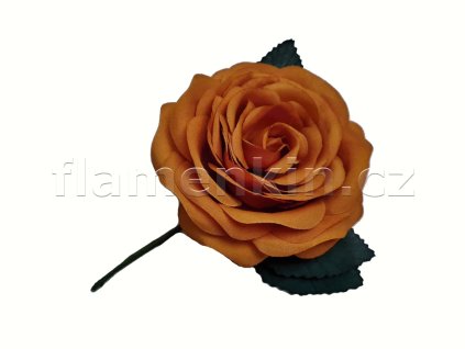 Velká okrová růže ANF48649