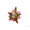FAN mala skripec rosa tmavší 1200 900