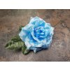 Rosa modra bile puntiky 1200 900