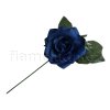 Ruže modrá střední MP 10 cm