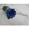 Ruže modrá střední MP 10 cm 2