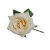 Střední růže ANF 48629 krémová