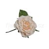Krémová střední růže AN 48641 11 cm