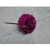 karafiát purpurový ANF 54755