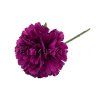 karafiát purpurový ANF 54755 4