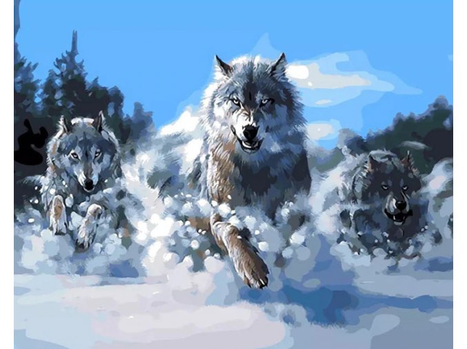Malování podle čísel na plátno pro dospělé - Rozzuření vlci