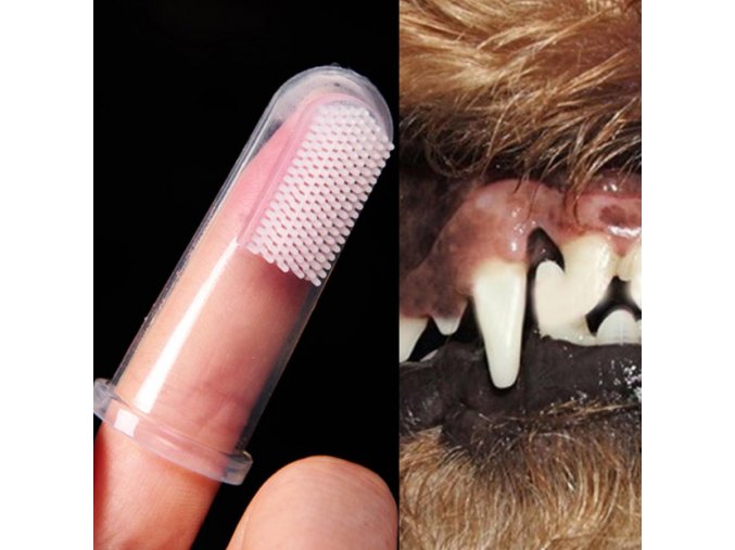 Zubní kartáček na prst pro psy
