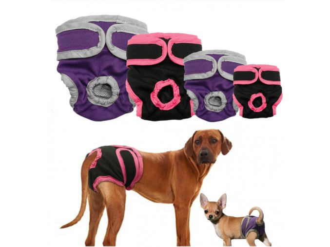 Pro psy- Hárací kalhotky pro psy 2 barvy- Výprodej skladu