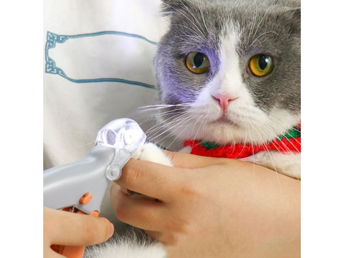 Pes - kočka - profesionální nůžky pro drápky s LED světlem - chovatelské potřeby - výprodej skladu