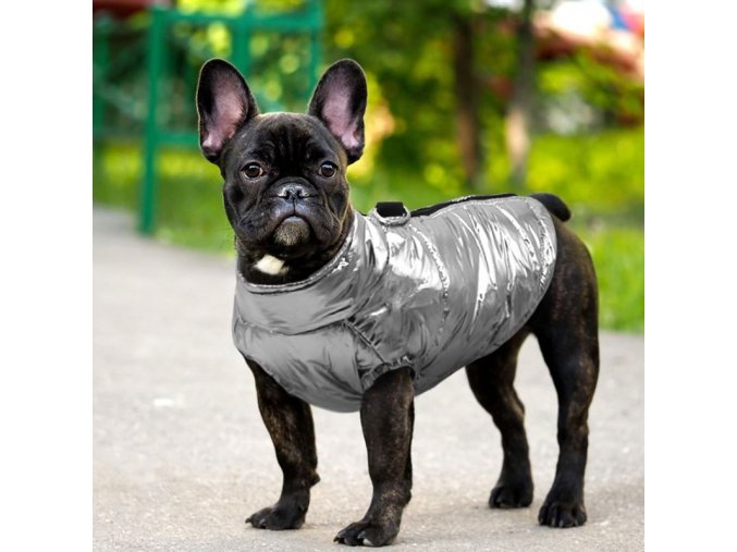 pes - psí obleček - krásná  lesklá vestička pro pejska - chovatelské potřeby - pes - psí oblečky