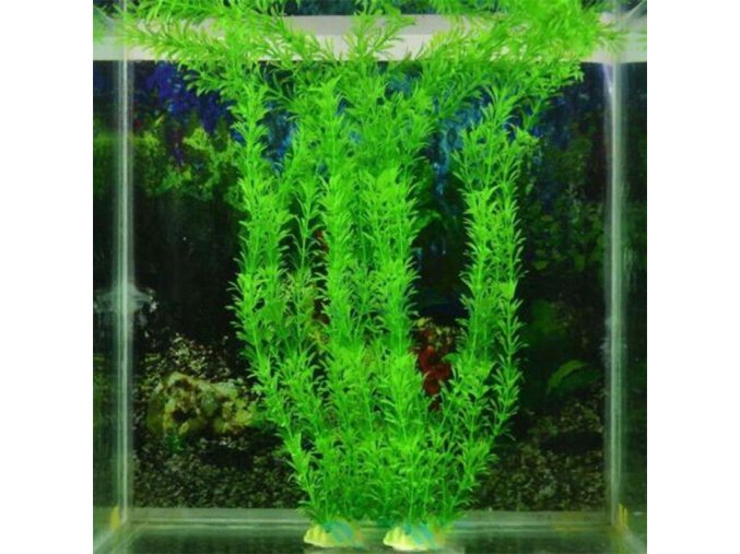 umele akvarijni rostliny