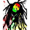 Malování podle čísel na plátno pro dospělé - Bob Marley