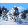 Malování podle čísel na plátno pro dospělé - Rozzuření vlci