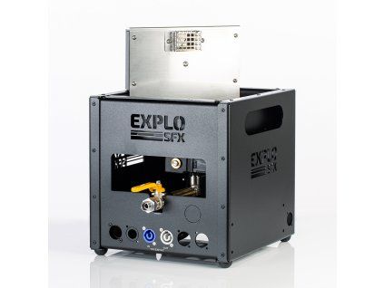 GX2 230V Basic Flame Projector