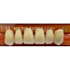 Major Super Lux frontální set 1 x 6 zubů