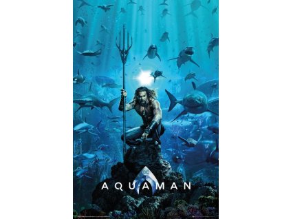 FP4730 AQUAMAN one sheet