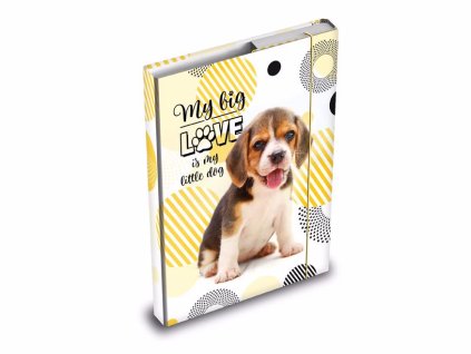 desky na sesity a5 pes