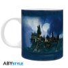 HARRY POTTER - Hrnek - 320 ml - Bradavice - s krabičkou 2