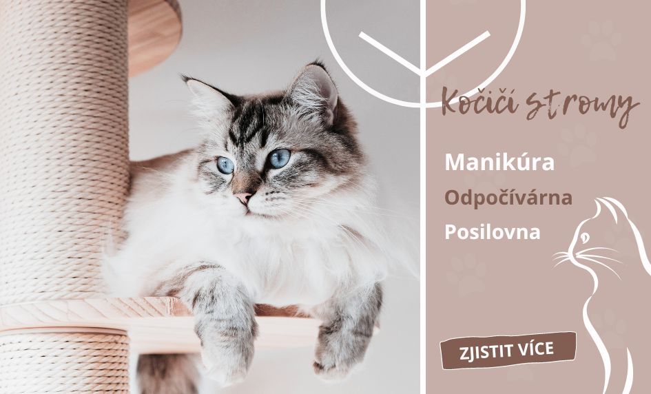 Kočičí stromy
