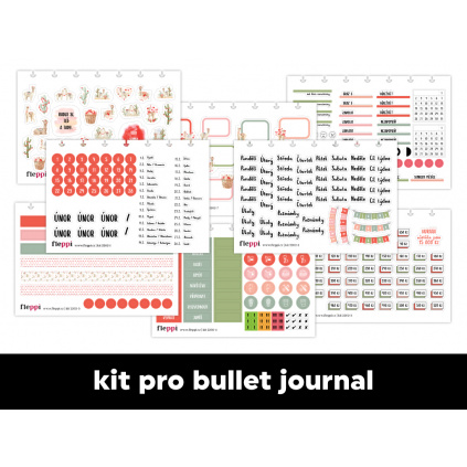 Měsíční samolepkový kit - bullet journal | Únor 2022
