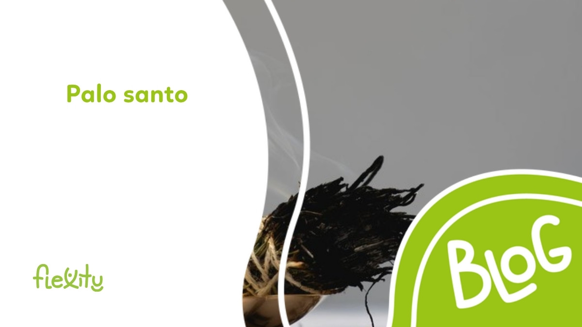 Palo santo: uporaba, miris i okađivanje prostora