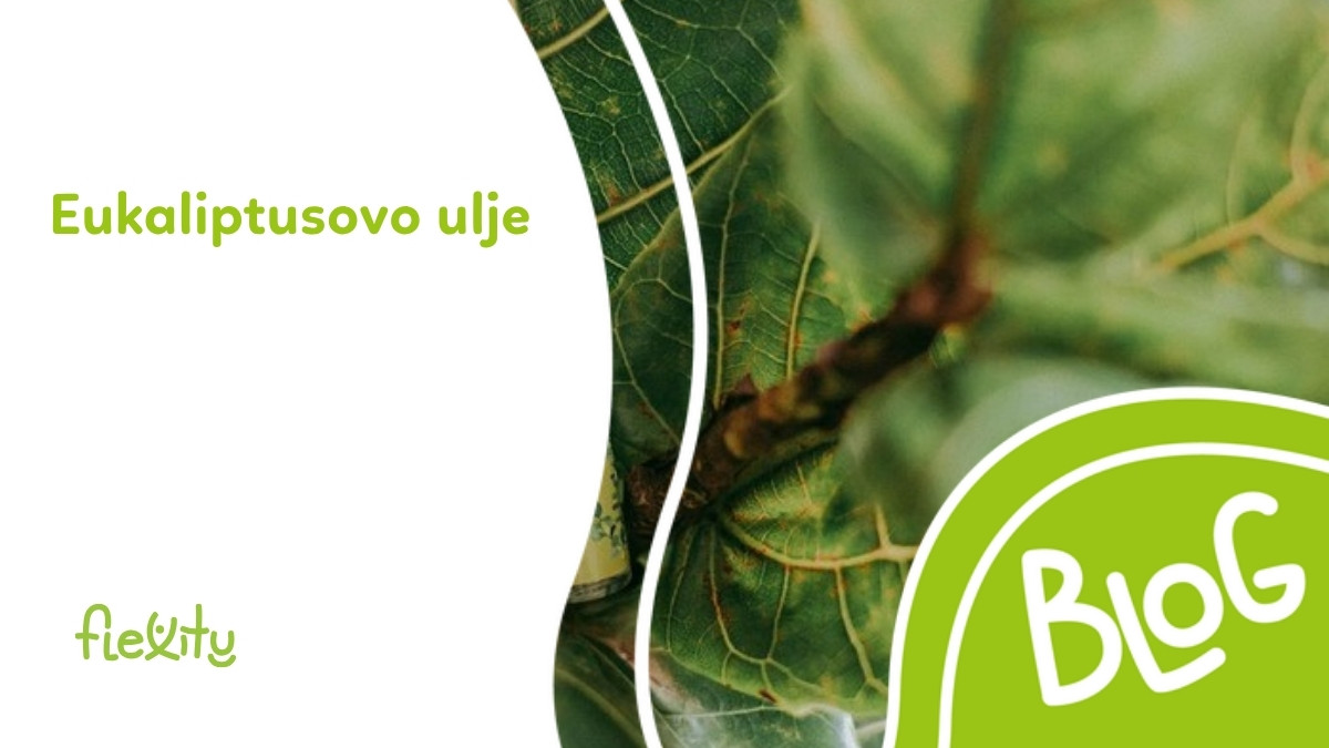 Ulje eukaliptusa: učinci, primjena i sigurnost