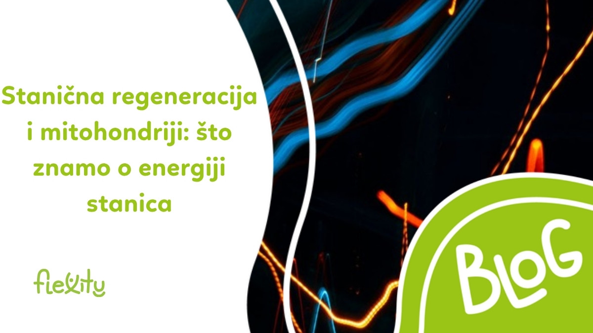 Stanična regeneracija i mitohondriji: što znamo o energiji stanica