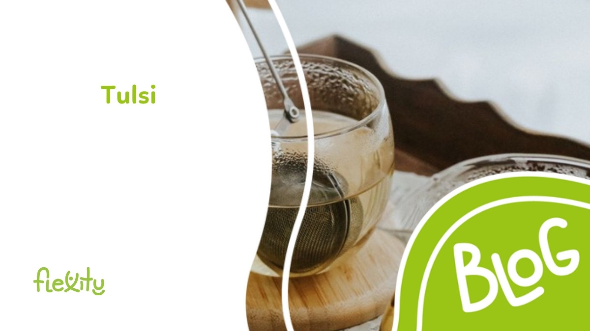Tulsi (sveti bosiljak): učinci, čaj i uporaba