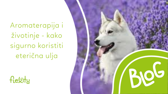 Aromaterapija i životinje - kako sigurno koristiti eterična ulja.