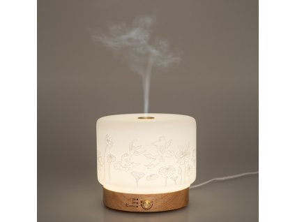 lisalia diffuseur ultrasonique (1)