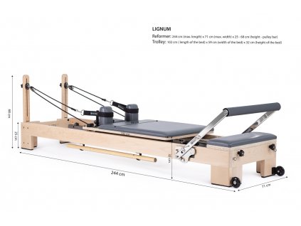 Medidas Reformers Lignum Measures veľkej veľkosti