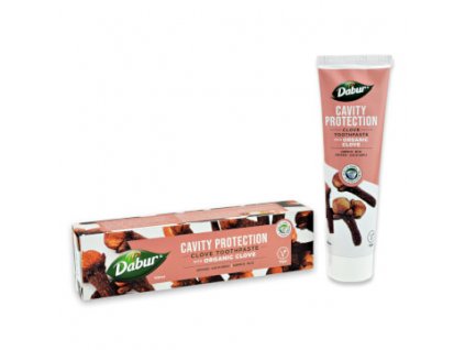 Dabur Clove Toothpaste 100ml. W360