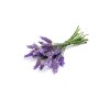 doTERRA Lavender Esenciálny olej levanduľa 15 ml (1)
