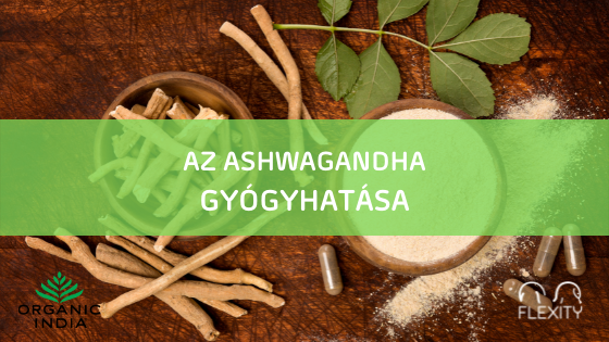 Ashwagandha – Ismerd meg ezt a hatékony ájurvédikus gyógynövényt a stressz, a szorongás és a depresszió tüneteinek enyhítésére