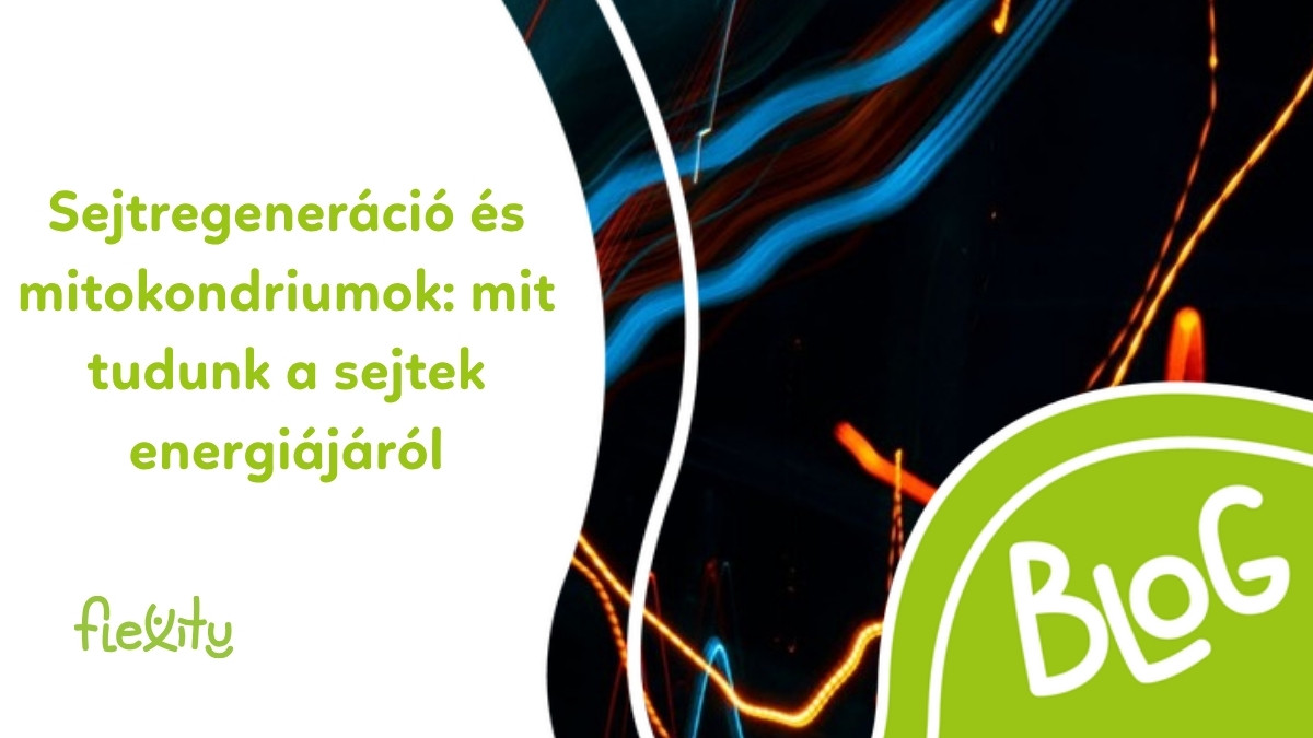 Sejtregeneráció és mitokondriumok: mit tudunk a sejtek energiájáról