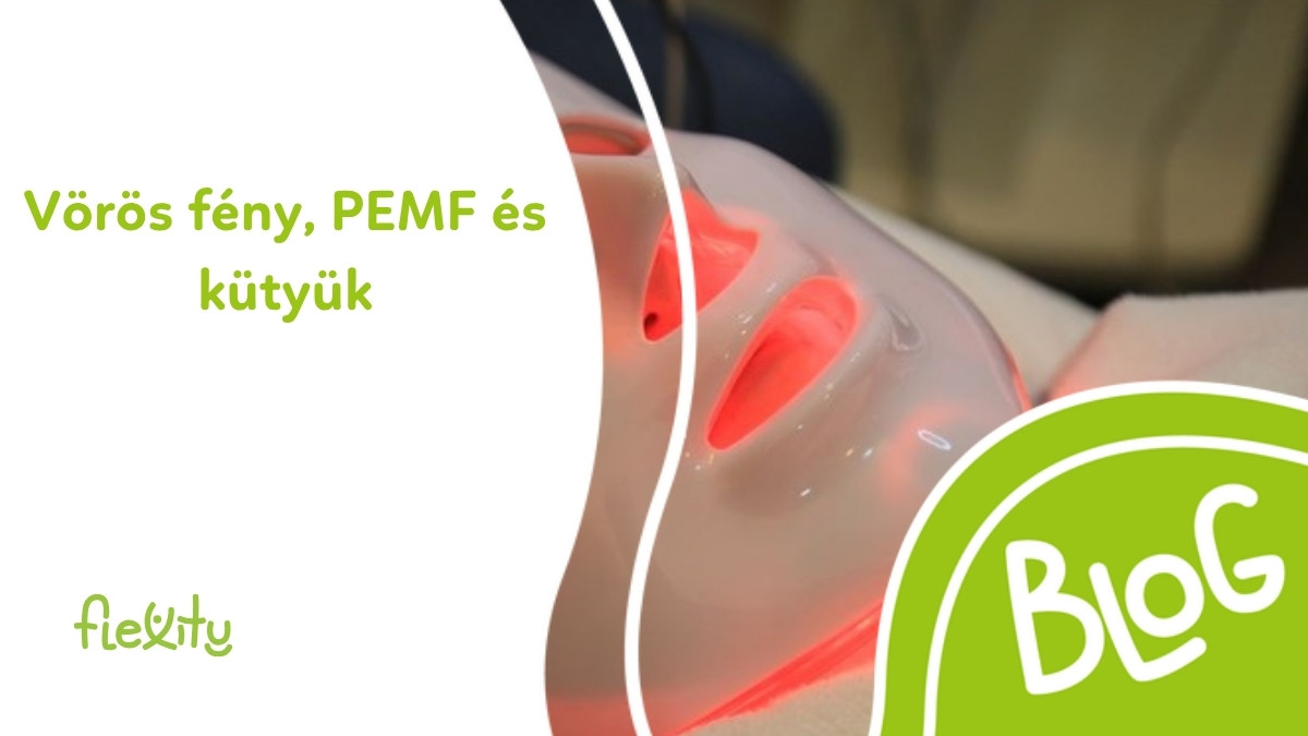 Vörös fény, PEMF és kütyük: hol a határ a tudomány és a hype között