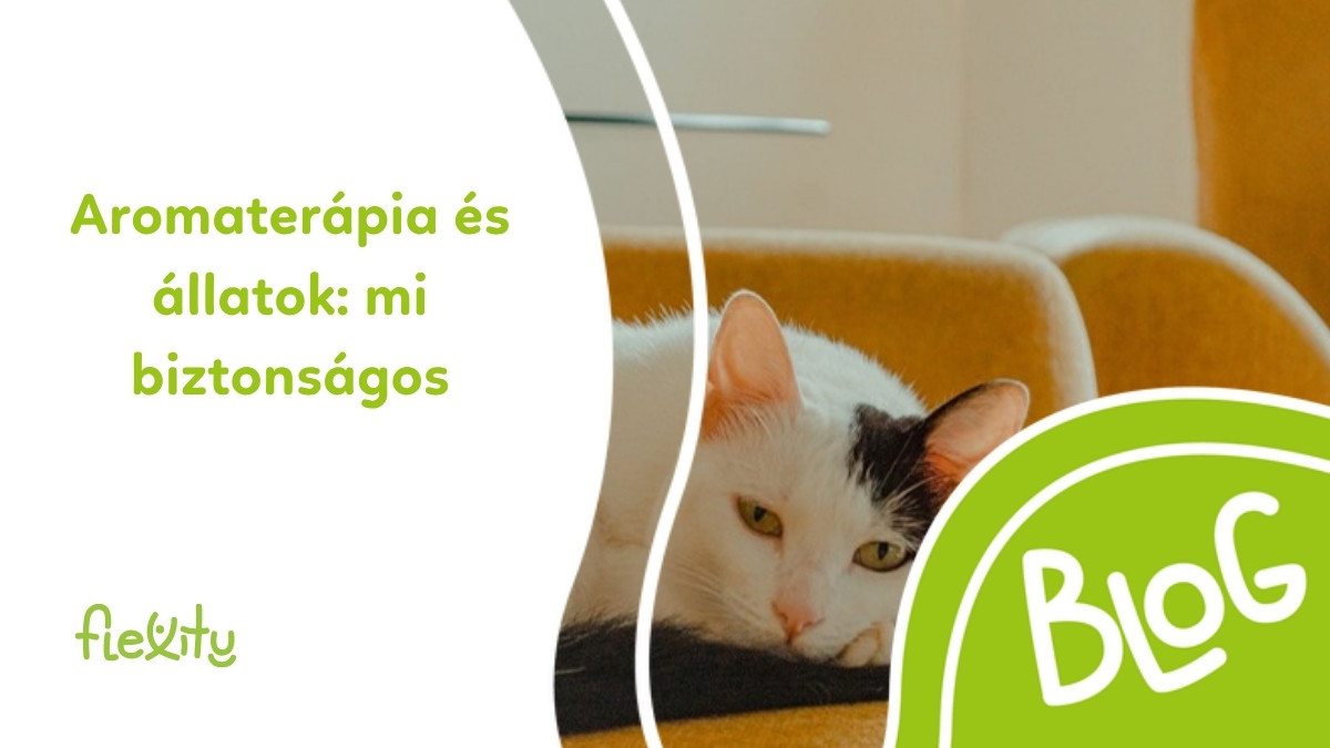 Aromaterápia és állatok: mi biztonságos és mi nem