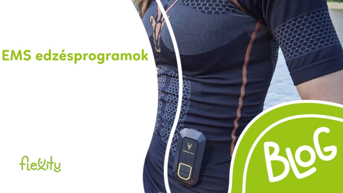 EMS edzésprogramok: áttekintés