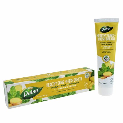 Dabur Ginger Mint Toothpaste 100ml