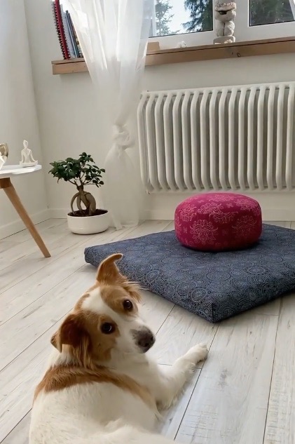 Bodhi Yoga Bodhi meditációs szőnyeg ZABUTON Maharaja Szín: Zöld