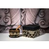 MEINL Sonic Energy Ornamental Serie Klangschale 9 5cm 3 74 300g 10 58oz SB OR 300 BK 4ee7711