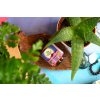 16200 1 organic india ashwagandha kapsuly energia vitalita sex sada 3 x 60 ks