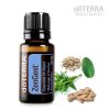 ZENGEST 15 ML veľkej veľkosti