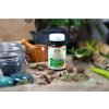 curcuma ayurveda