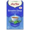 Yogi Tee Atemtee 2